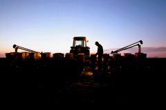 Morning silhouette, farmer