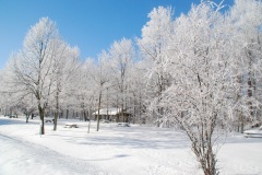 Hoarfrost and snow