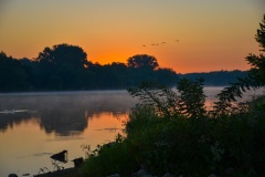 A flight of geese track the Fox River near sunrise