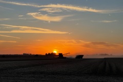 A combine harvests soybeans at sunset in a northern Illinois field