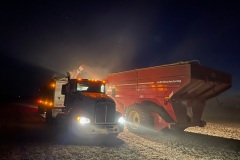 Soybeans being loaded in the late evening during harvest