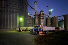 Trucks loaded with freshly harvested grain wait for the grain elevator to open
