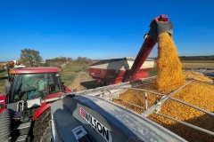 Northern Illinois corn from the grain cart
