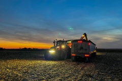 Grain harvest evening in northern Illinois