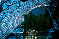 Atrium at 525 West Monroe, Chicago.  Client:  MCC Powers.