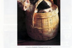 Country Home magazine.