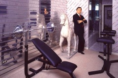 A home gym in an upscale townhouse near Hinsdale, IL  Client:  DuPage Magazine